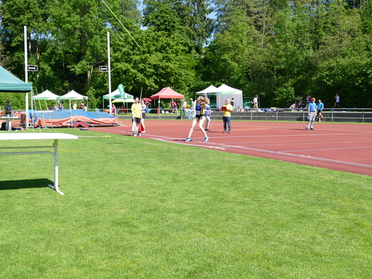 P1030652.jpg