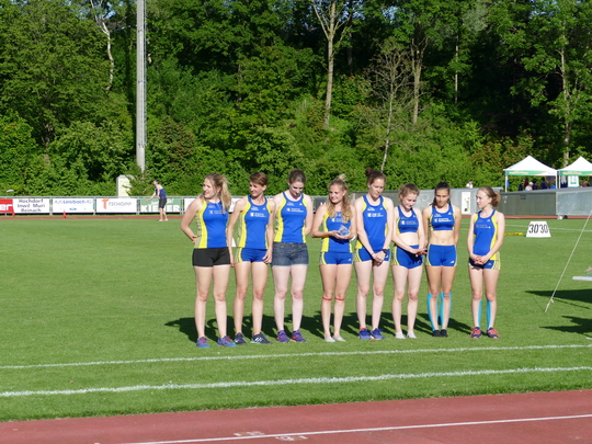 P1030667.jpg