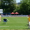 P1030431.jpg