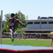 P1030440.jpg