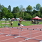 P1030509.jpg