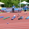 P1030573.jpg