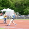 P1030633.jpg